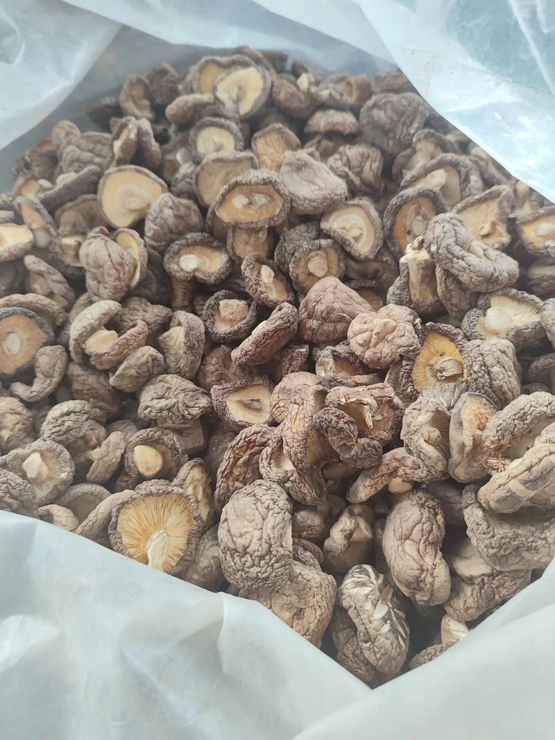 一次性用品市场风云：批发趋势与挑战并存